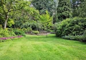 Optimiser l'expérience du jardin à Wizernes